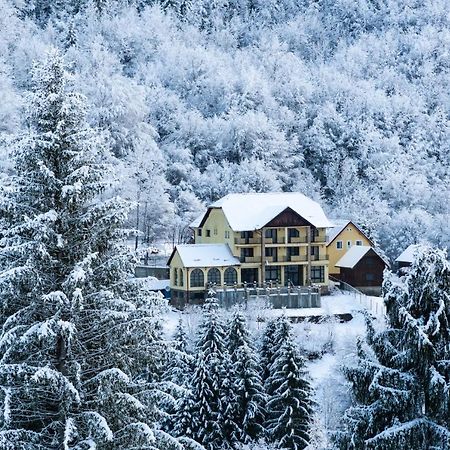 Pensiunea Dolvas Padis Exterior foto