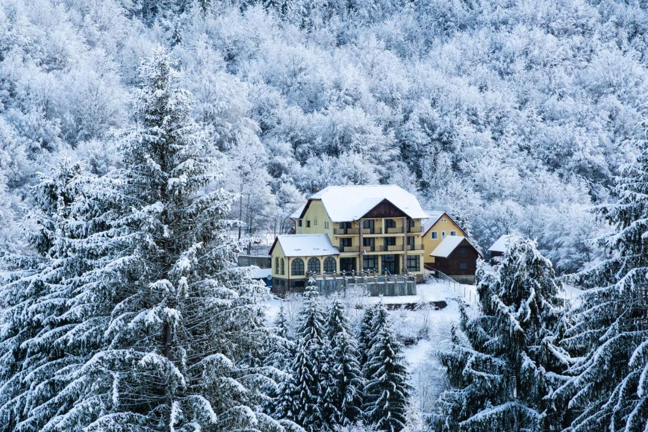 Pensiunea Dolvas Padis Exterior foto