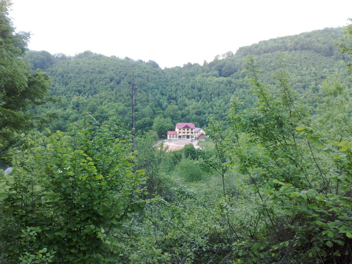 Pensiunea Dolvas Padis Exterior foto