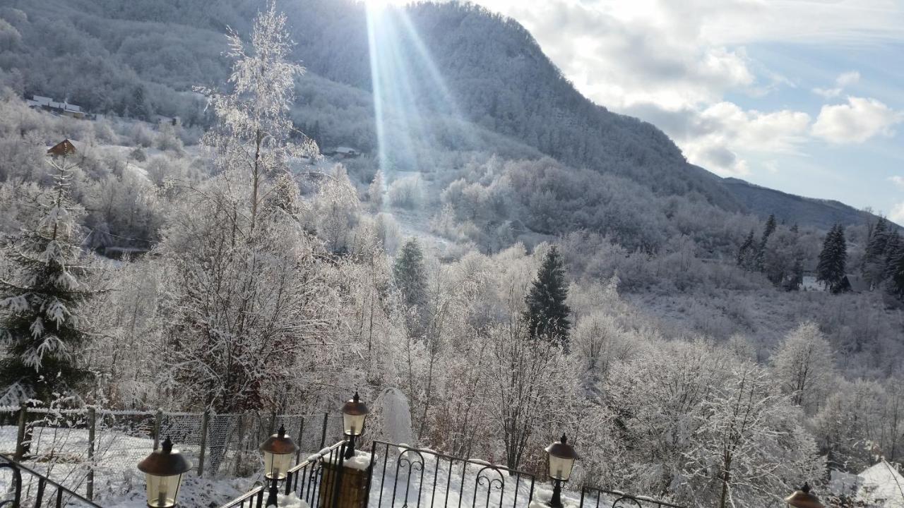 Pensiunea Dolvas Padis Exterior foto